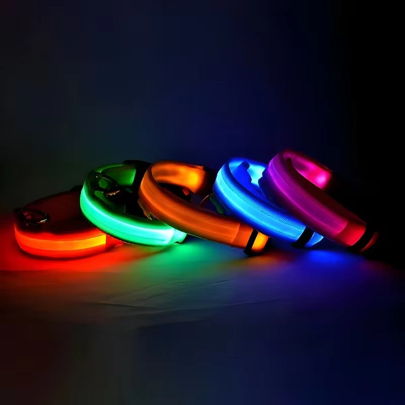 Collare luminoso