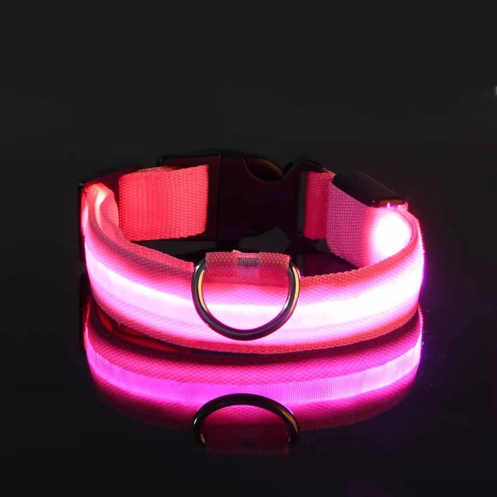Collare luminoso