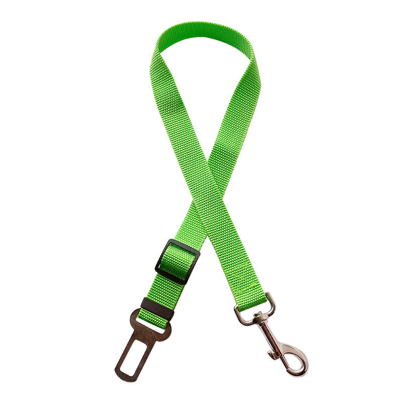 Cintura di Sicurezza per animali