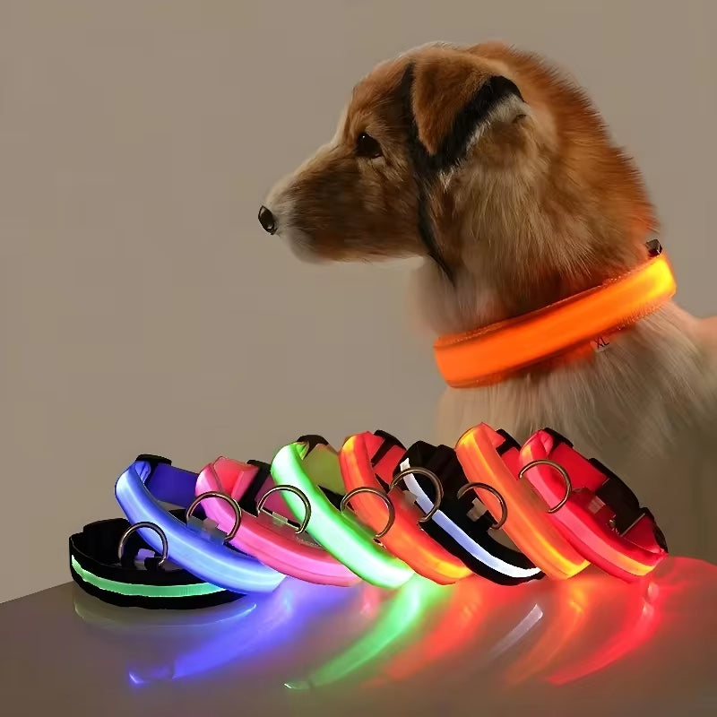 Collare luminoso