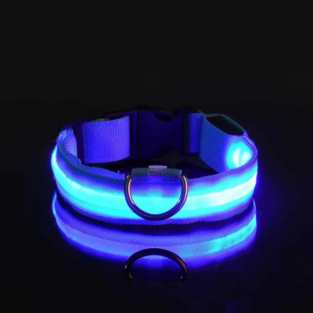 Collare luminoso