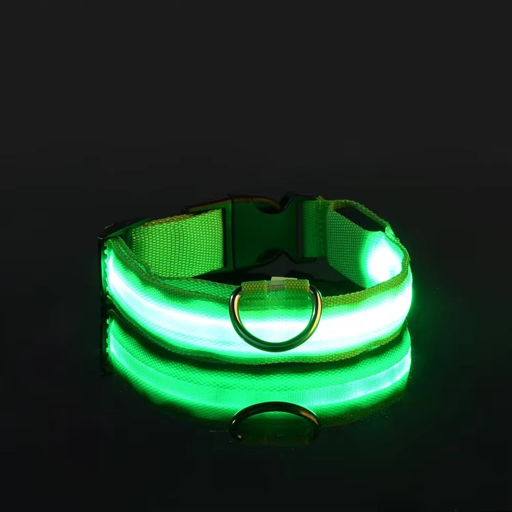 Collare luminoso