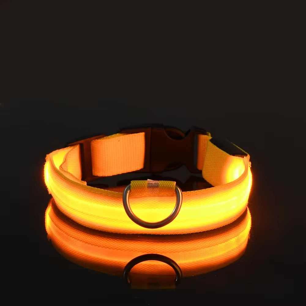 Collare luminoso