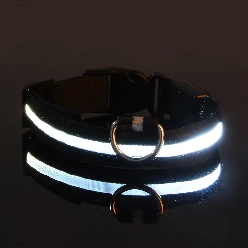Collare luminoso