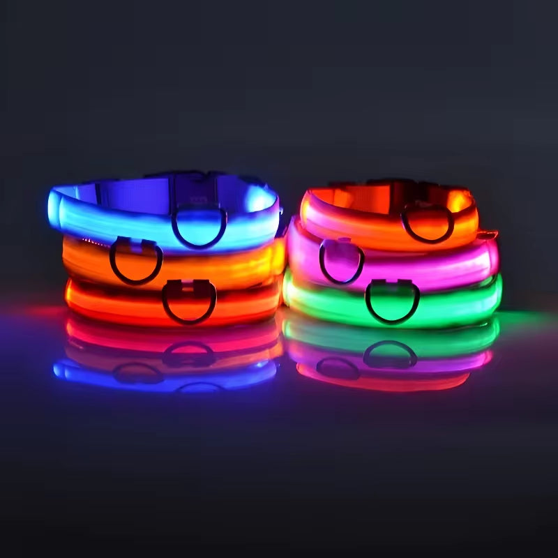 Collare luminoso