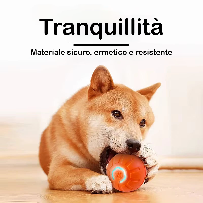 Palla Magica